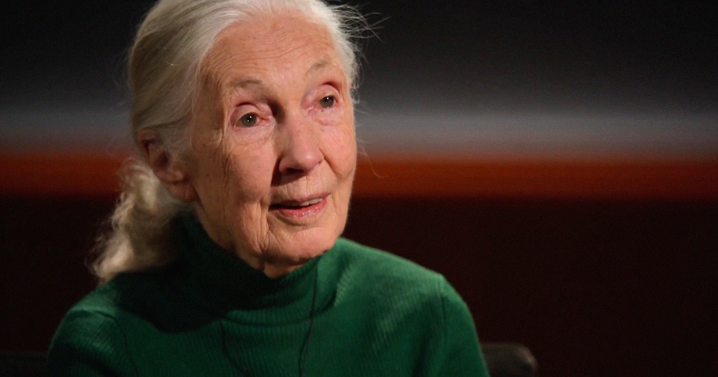 futurism's tweet card. British conservationist and primatologist Jane Goodall called for billionaire and SpaceX CEO Elon Musk to be blasted into space.