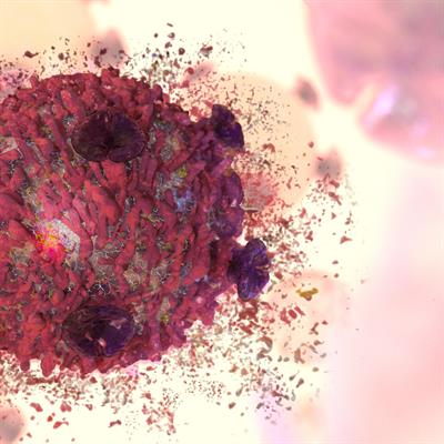 FrontCellDevBio's tweet card. Drug repurposing has emerged as an innovative and cost-effective strategy in oncology, addressing the critical challenge of drug resistance in cancer. This a...