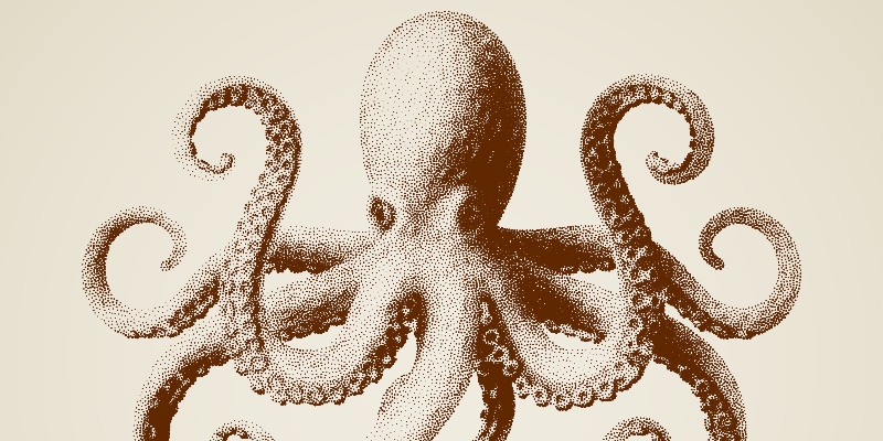 lithub's tweet card. Shelby Van Pelt’s novel, Remarkably Bright Creatures, is available now in paperback from Ecco, so we asked her a few questions about writing, reading, routines, and more. * Who do you most wish wou…
