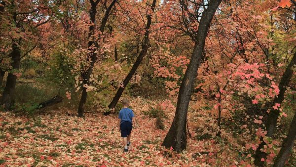 DrKianE's tweet card. Fall is a beautiful time in Utah! We love hitting the trail to see all the leaves change color. Here are our favorite Fall Hikes in Utah.
