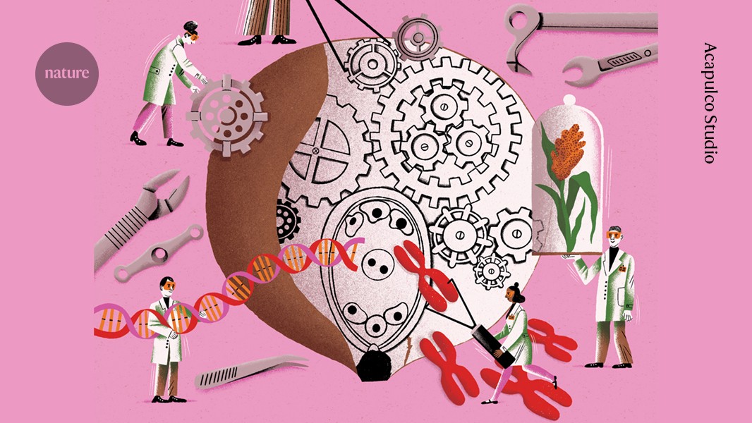quantechsol's tweet card. Nature - Scientists are tinkering with plant genes to create crops that seed their own clones, with a host of benefits for farmers.