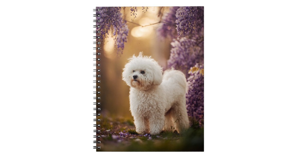 JK_Coll's tweet card. A dreamy notebook featuring a fluffy white dog standing gracefully beneath cascading purple wisteria blossoms at golden hour. Perfect for dog lovers, nature admirers, or anyone who enjoys a touch of...