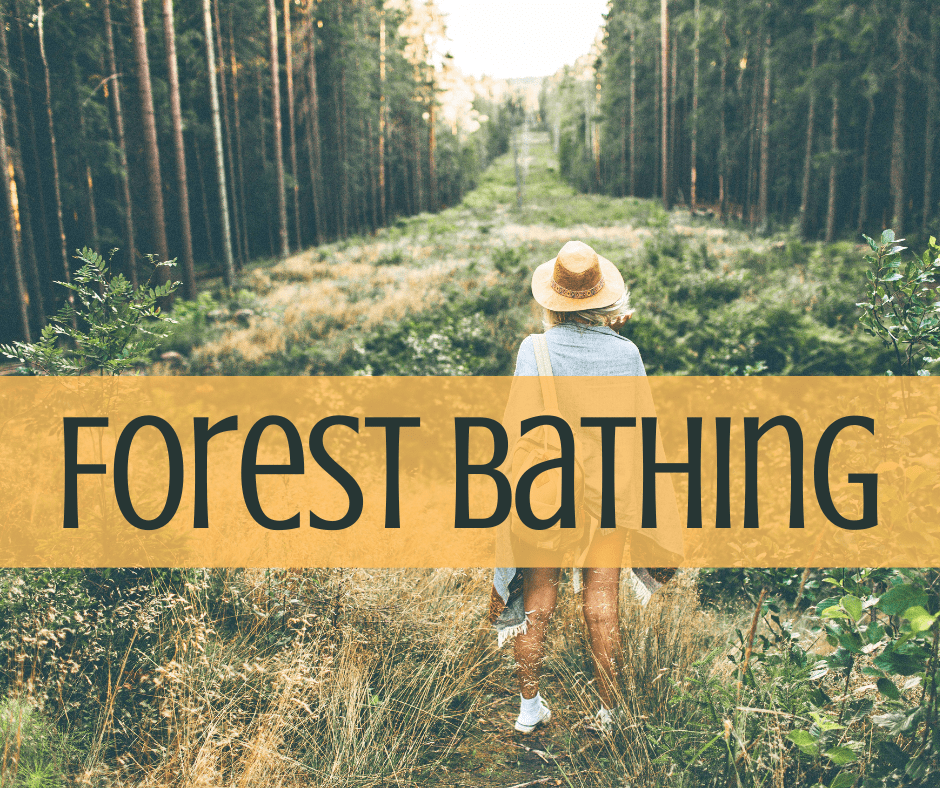 HikingBingo's tweet card. Forest Bathing. Diving into the FAQs: what, who, where, why, and HOW of forest bathing.