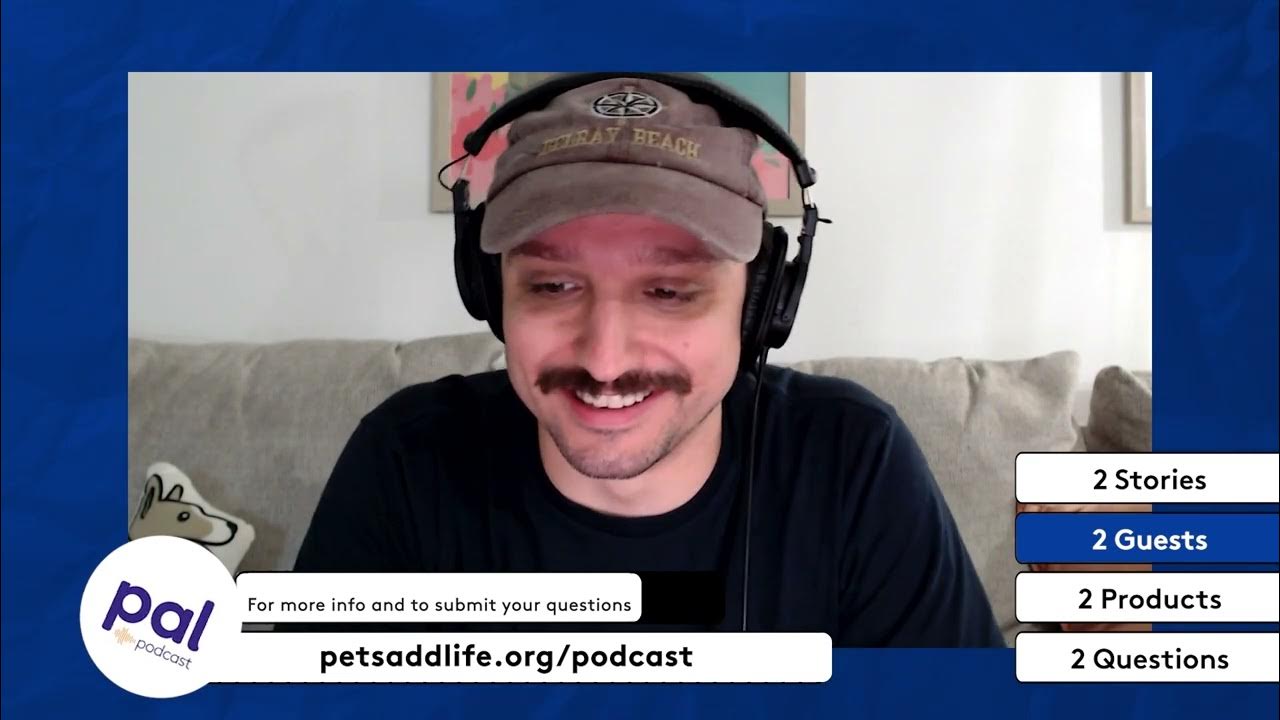 dogtv's tweet card. 73. Dogs with Super Noses, Pet Industry Insights & Sailing Cats