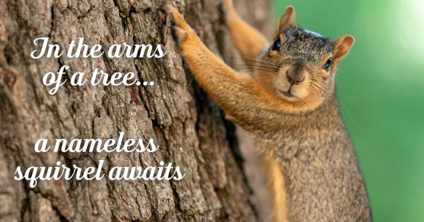 TCU_Giving's tweet card. I named a TCU Squirrel, today!