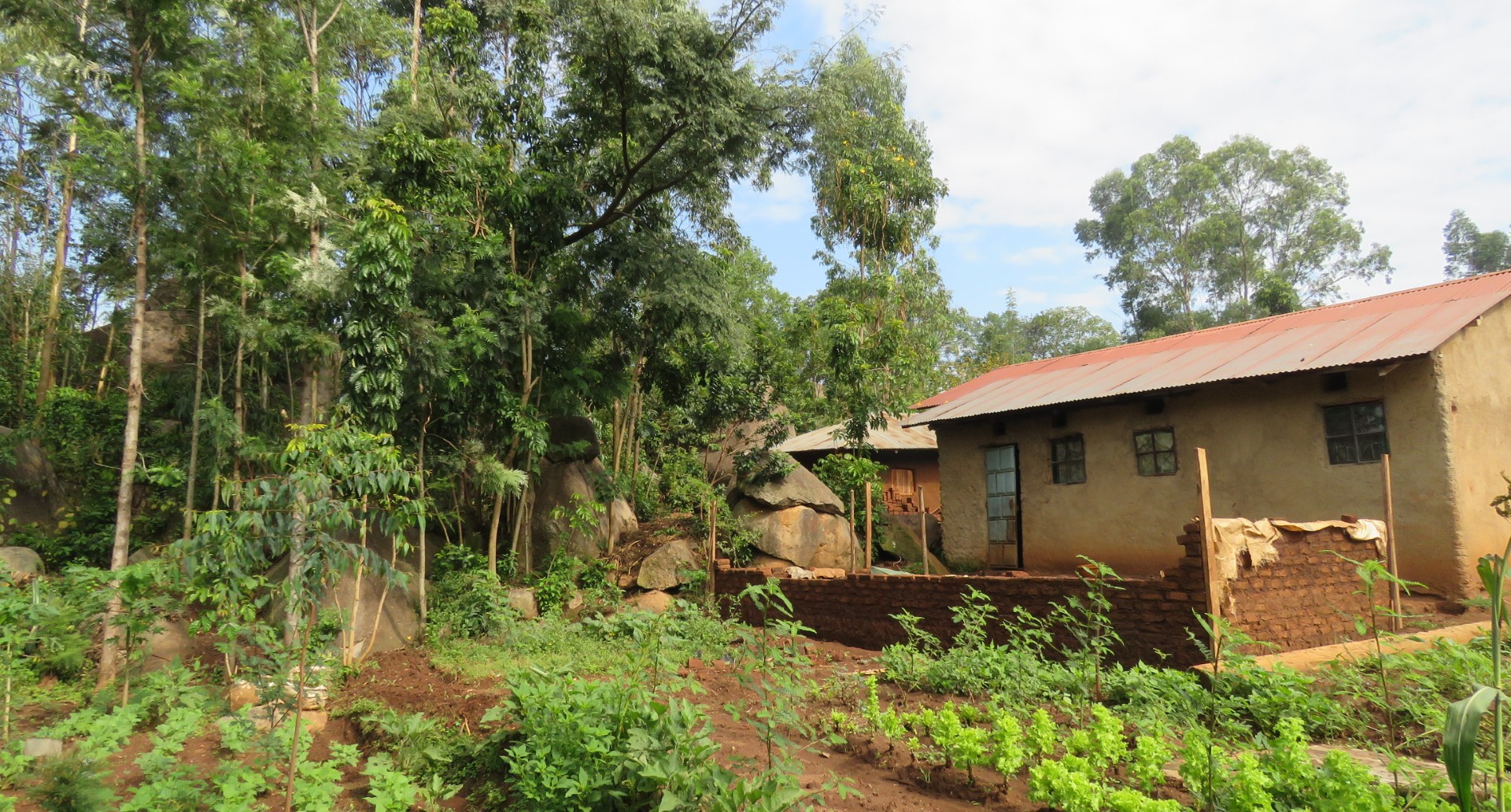 UniExeCornwall's tweet card. Research with smallholder farmers in Kenya shows that tree-planting schemes must account for complex local issues and preferences. Tree planting is central to many countries’ climate mitigation and...