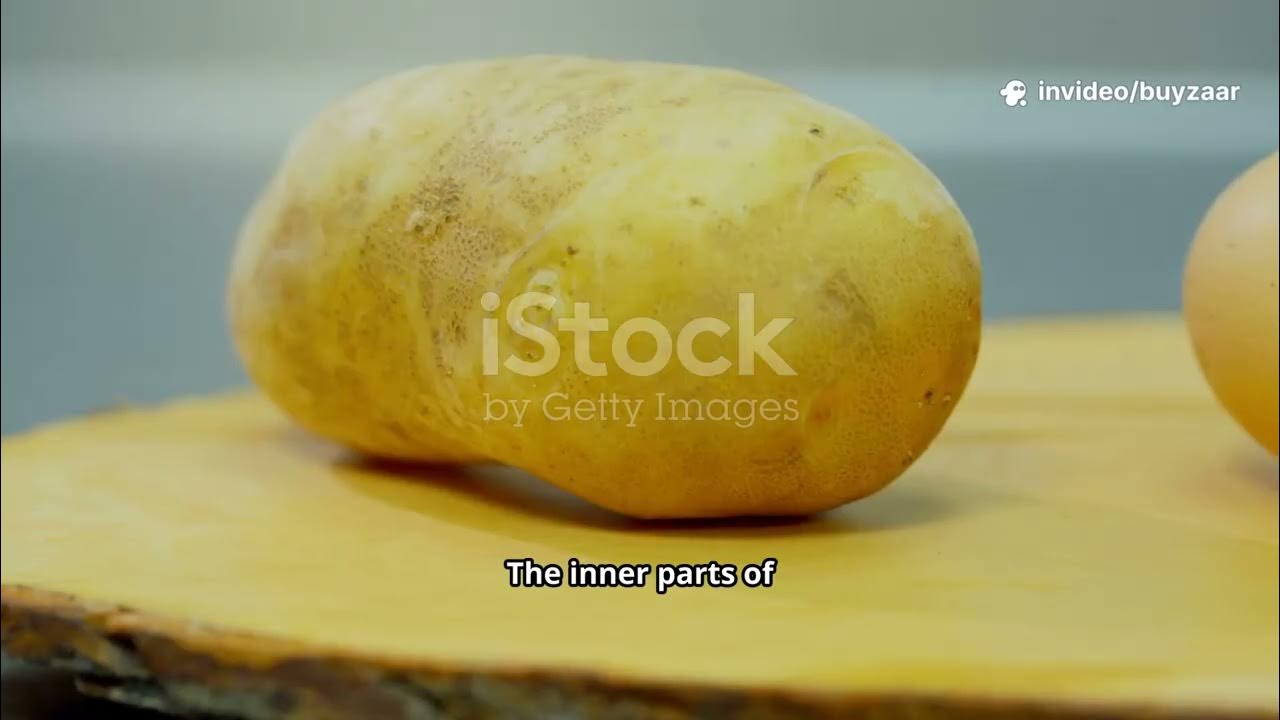 ITComputerClass's tweet card. Lesson 08 The Nature Of the Earth Grade 07 The nature of the earth...