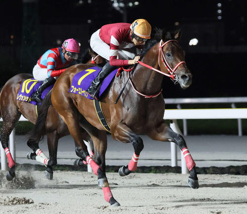 goku_uma's tweet card. 米国競馬の祭典、ブリダーズカップ（米国）の公式ホームページは7日、BCクラシック（G1、ダート2000メートル、11月1日＝デルマー）へ向けた「BCクラシック… - 日刊スポーツ新聞社のニュースサイト、ニッカンスポーツ・コム（nikkansports.com）