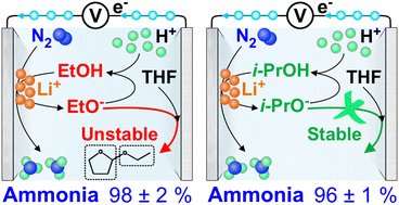 Simonov_A_N's tweet card. Electrochemical lithium-mediated nitrogen reduction can enable synthesis of ammonia from renewables in a distributed fashion on various scales, but its integration into electrolyser devices presents...