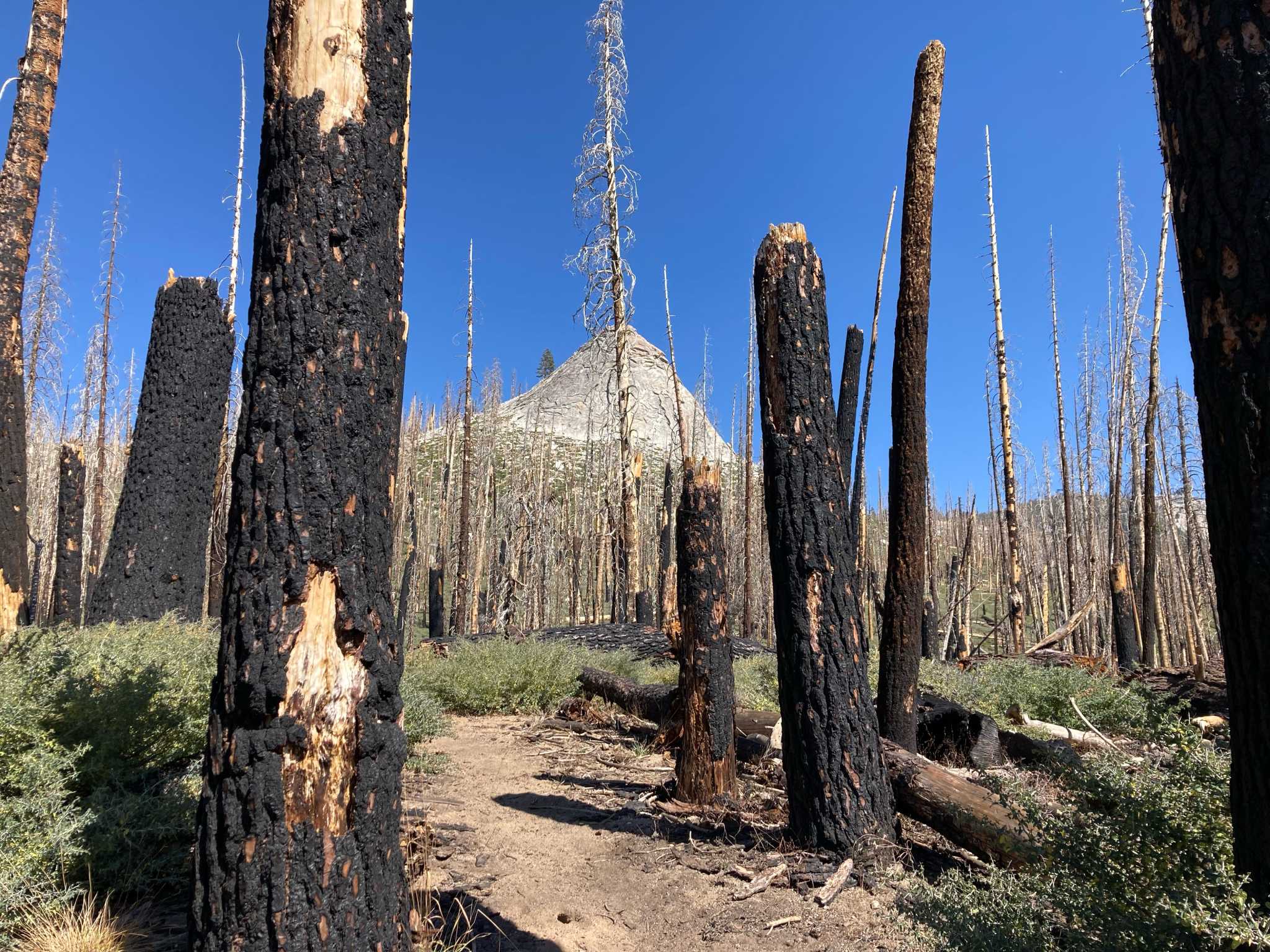 gregrthomas's tweet card. A backcountry trek on the John Muir Trail became scary when I realized my wife and I were hiking straight toward a forest fire.