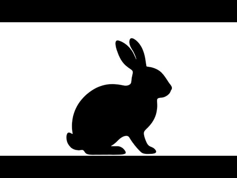 jessmachadoshow's tweet card. Bunny After Dark
