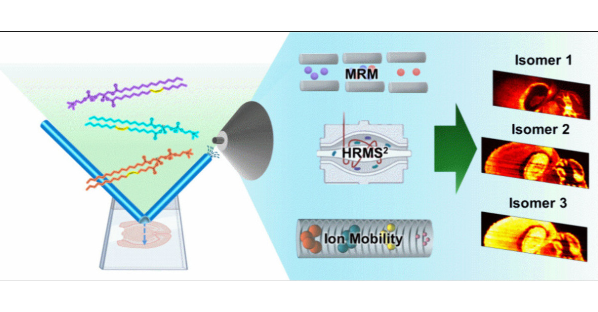 LabLaskin's tweet card. ConspectusMass spectrometry imaging (MSI) has transformed our ability to explore molecular distributions in biological tissues with high chemical specificity and sensitivity. Despite significant...