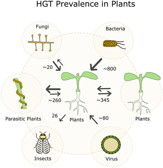 puginiercamille's tweet card. Abstract. Horizontal gene transfers (HGTs) have been observed across the tree of life. While their adaptive importance in bacteria is conspicuous, the occu