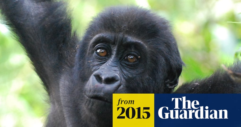 SPSS2015's tweet card. In the face of mass extinction, a new report by the World Association of Zoos and Aquariums (WAZA) argues that every zoo should devote at least 3% of their budgets to conservation work.