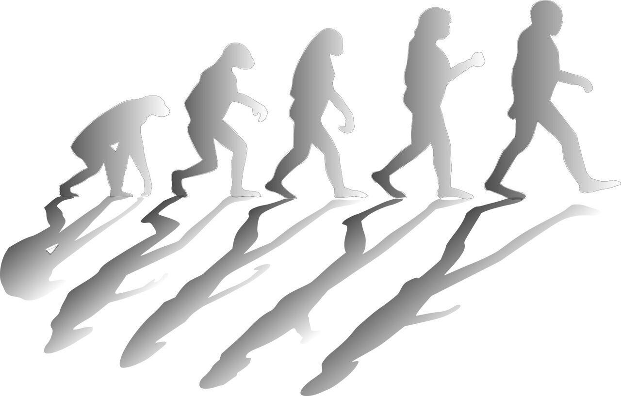 physorg_com's tweet card. Researchers at the University of Maine are theorizing that human beings may be in the midst of a major evolutionary shift—driven not by genes, but by culture.
