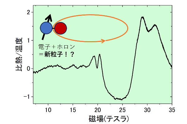 UTokyo_News's tweet card. 磁場下で電荷を持たない新粒子を観測 | 東京大学