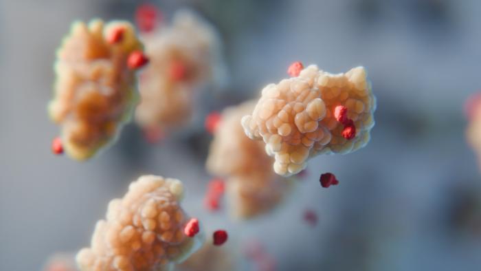 Technology_LR's tweet card. Amino acids have long been known to improve the stability and solubility of proteins; they might be added to medications to keep them stable ... | Cell And Molecular Biology