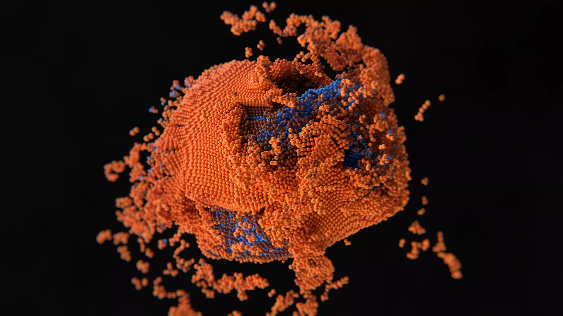 FrontCellDevBio's tweet card. Cell stress responses represent one of the most fascinating frontiers in modern biology, as they stand at the delicate interface between adaptation and demis...