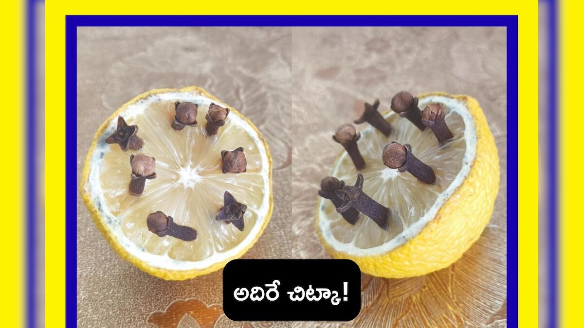 News18Telugu's tweet card. Lemon Sleep Tip: మనం ఆనందంగా, హుషారుగా ఉండాలంటే.. మనకు నిద్ర బాగా పట్టాలి. లేదంటే.. నీరసం, గందరగోళం అయిపోతాం. అనేక వ్యాధులు కూడా వచ్చేందుకు క్యూ కడతాయి. మరి నిమ్మకాయను వాడి ఎలా చక్కగా నిద్రపోవాలో...