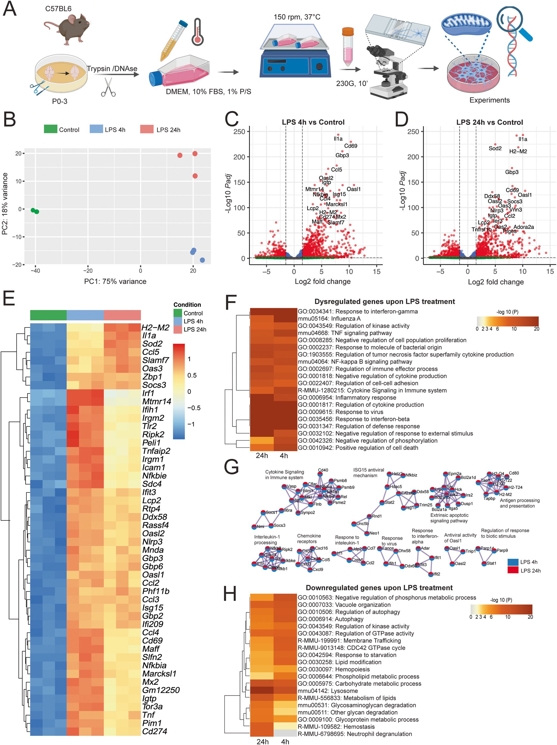 thmonk_pf's tweet card. Nature Communications - The innate immune cells undergo metabolic reprogramming upon inflammation. Here, the authors report that both mouse and human microglia display a metabolic reprogramming in...
