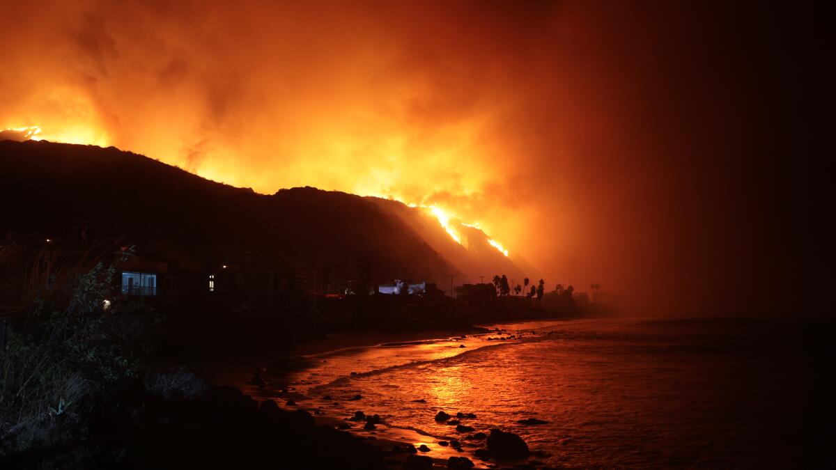frankmottek's tweet card. Firefighters battling the Palisades fire dealt with hydrants that had little to no water flowing out. By 3 a.m. Wednesday, all hydrants 'went dry,' an LADWP official says.