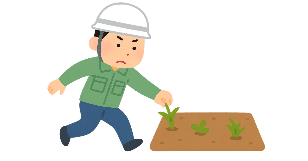 jwse119's tweet card. 畑に出る雑草は、芽のうちに抜けばほんの数秒の作業です。 しかし、そのまま放置すれば、根を張り、土を固め、作物の養分を奪い、抜くのも難しくなります。 やがては畑全体を荒らし、収穫そのものを脅かします。 介護現場の事故も同じです。 転倒、誤薬、誤嚥、記録の漏れなど。 表に出るのは大きな事故ですが、その前には必ず「芽」が存在します。 小さな違和感、小さな油断、小さな後回し。 それをその場で摘めるか...