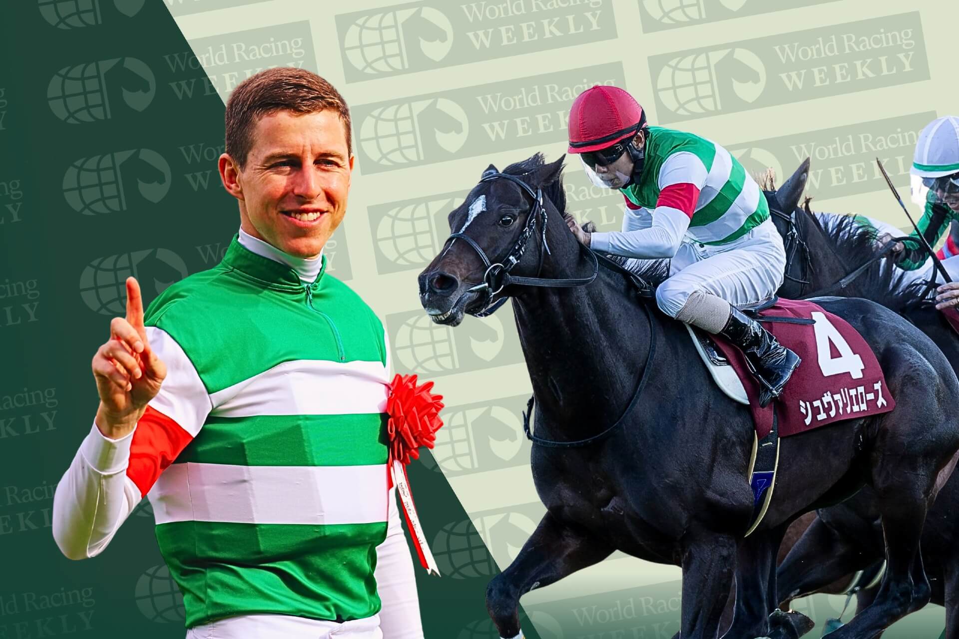 idolhorsedotcom's tweet card. Damian Lane will fly to Japan at the start of November but will make a brief return to ride the Japanese raider Chevalier Rose in the Melbourne Cup, before heading back for the JRA’s autumn majors.