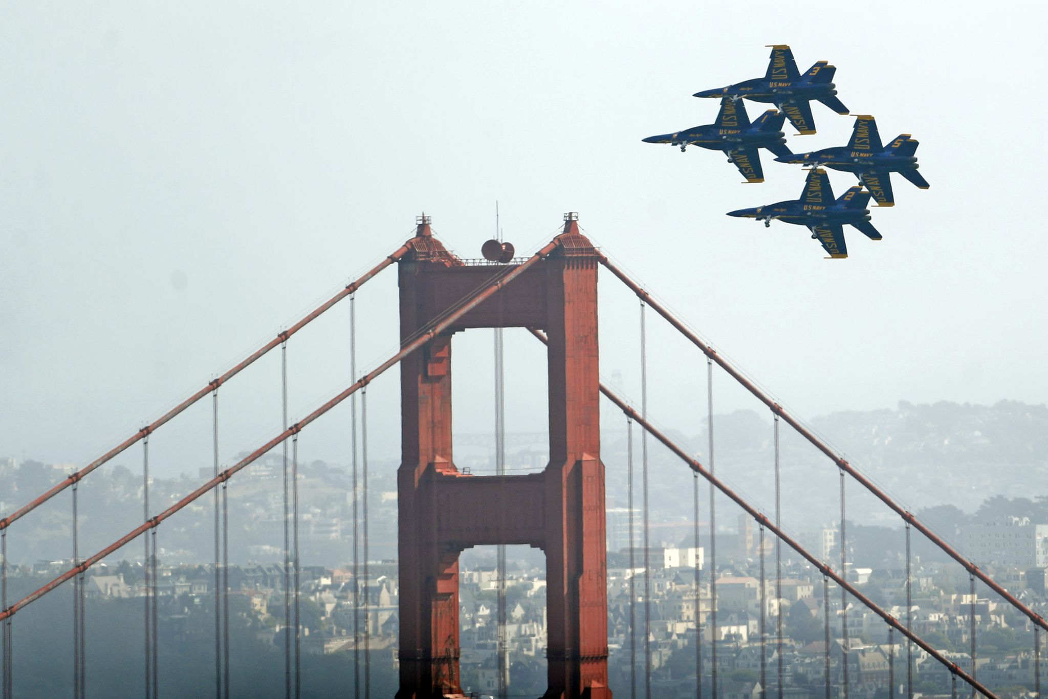 sfchronicle's tweet card. The Blue Angels and all U.S. Navy and Marine Corps participation in San Francisco Fleet Week have officially been canceled due to the ongoing federal government shutdown.