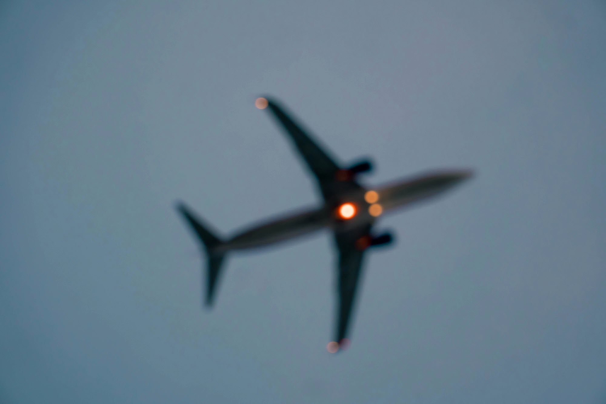 RossanaDAntonio's tweet card. In episode 175 of ASCE Plot Points, Rossana D'Antonio talks about brother, the book, and what we need to know about aviation safety.