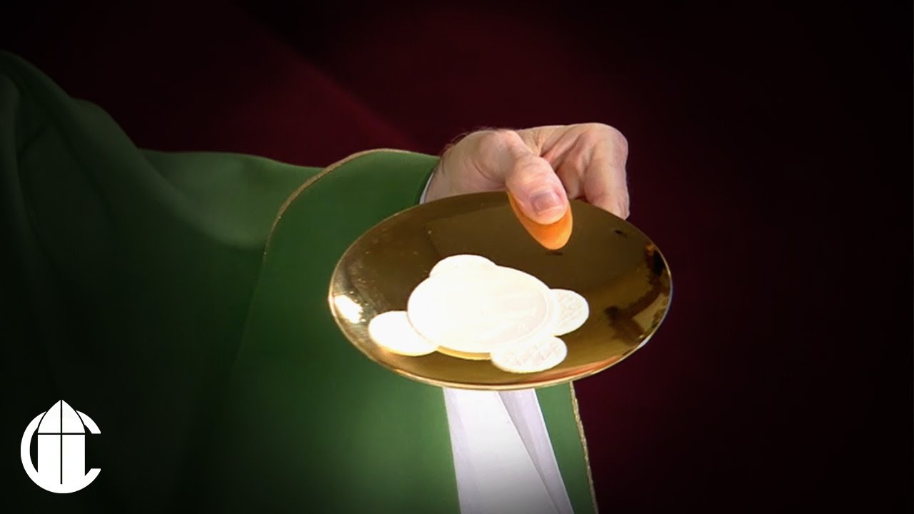 SabreSystemsInc's tweet card. Catholic Mass Today: 2/9/25 | Fifth Sunday in Ordinary Time