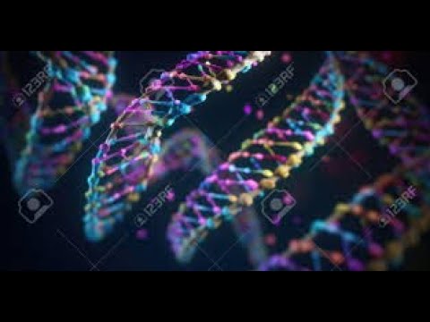 sambasci's tweet card. B Cell Sequencing as a tool to improve Malaria Vaccinology - Presen...