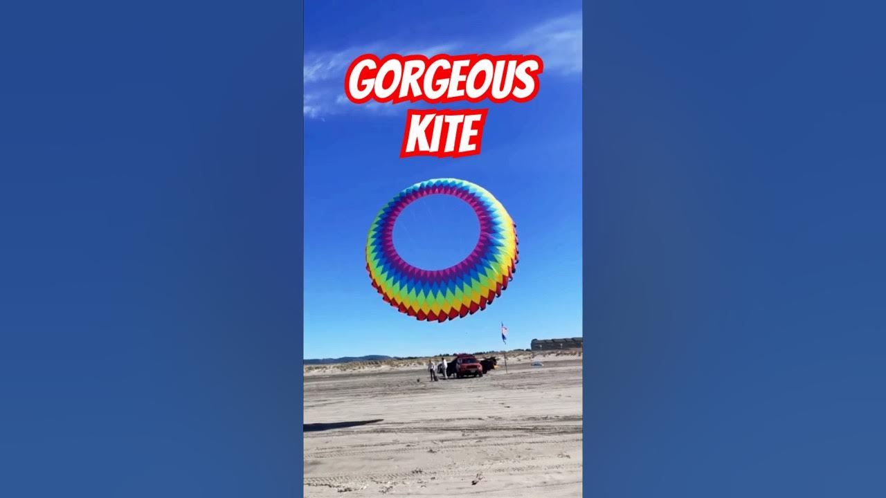 DinkumTribe's tweet card. Have you ever seen a kite like this before? #kiteflying #kitefestival...