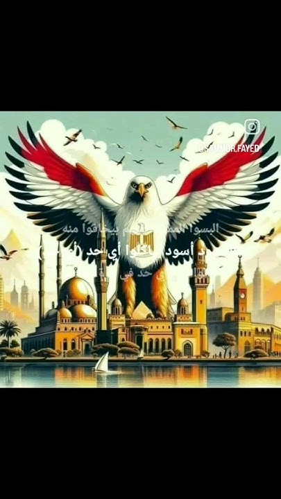 ssfayed's tweet card. 🇪🇬💪🏼البسو المموه💪🏼🇪🇬