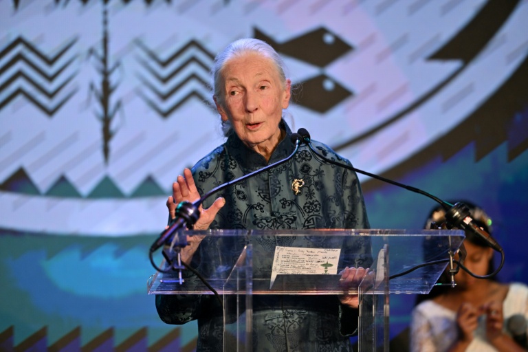 Brian9749576961's tweet card. World leaders and environmental advocates paid tribute Wednesday to renowned British chimpanzee expert Jane Goodall after she died at the age of 91. - 'Opened doors' - "Jane Goodall had a remarkable...