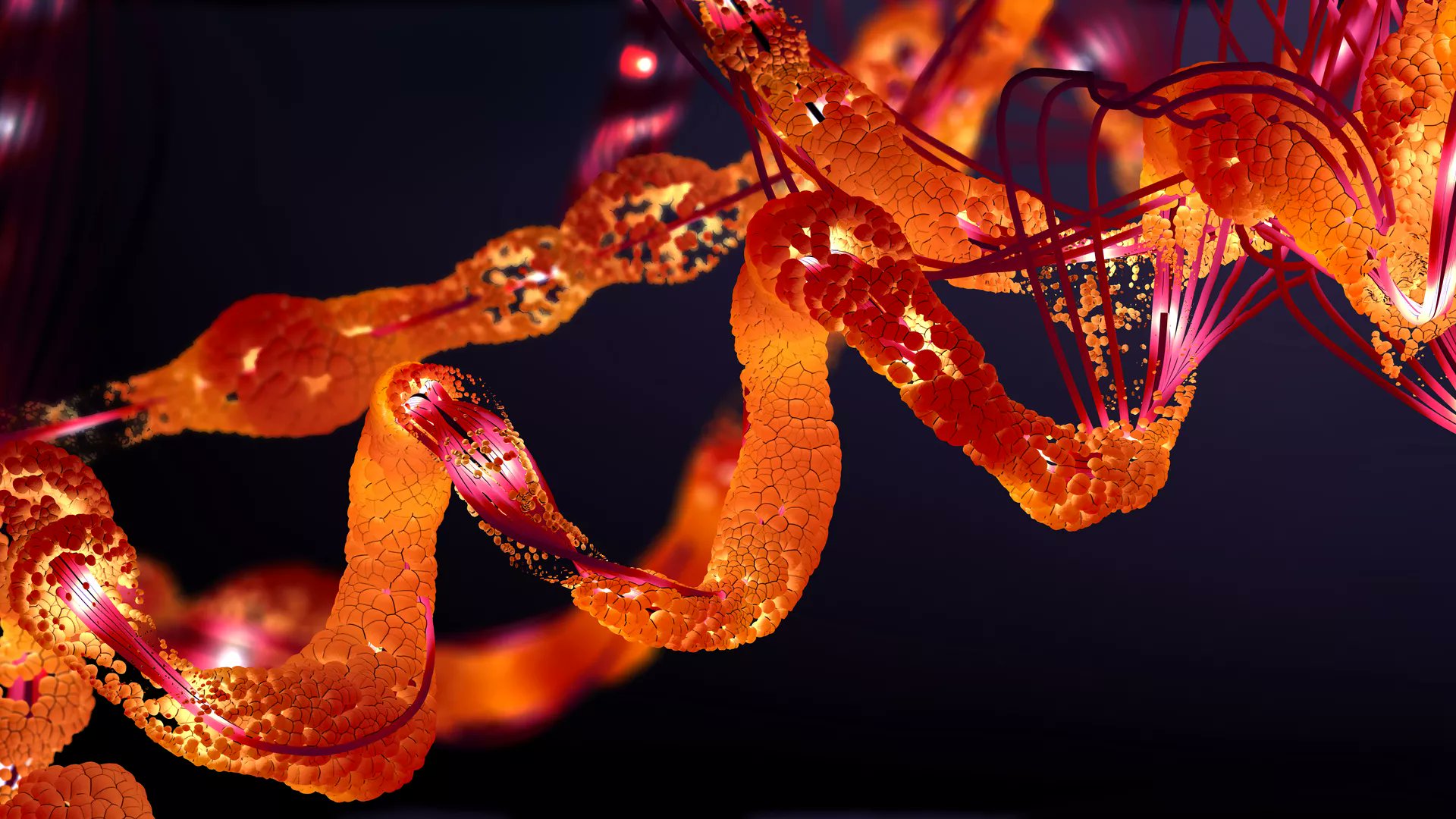 FrontMolBioSci's tweet card. Over the last 30 years, the field of dystroglycan (DG) research has garnered significant attention due to its critical role as a non-integrin adhesion comple...