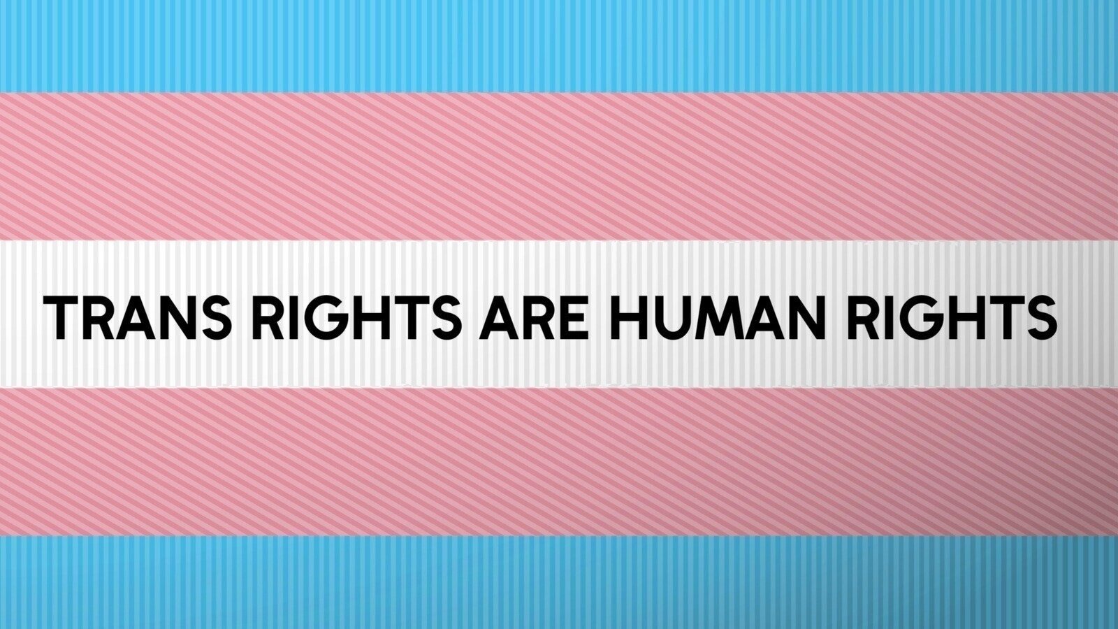 TimBlac10365422's tweet card. Stop Texas HB 3817 - Being transgender is not fraud