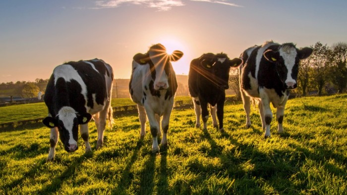 brookeamasters's tweet card. [FREE TO READ] The dairy industry’s efforts to woo customers away from plant products are a masterclass in corporate survival tactics