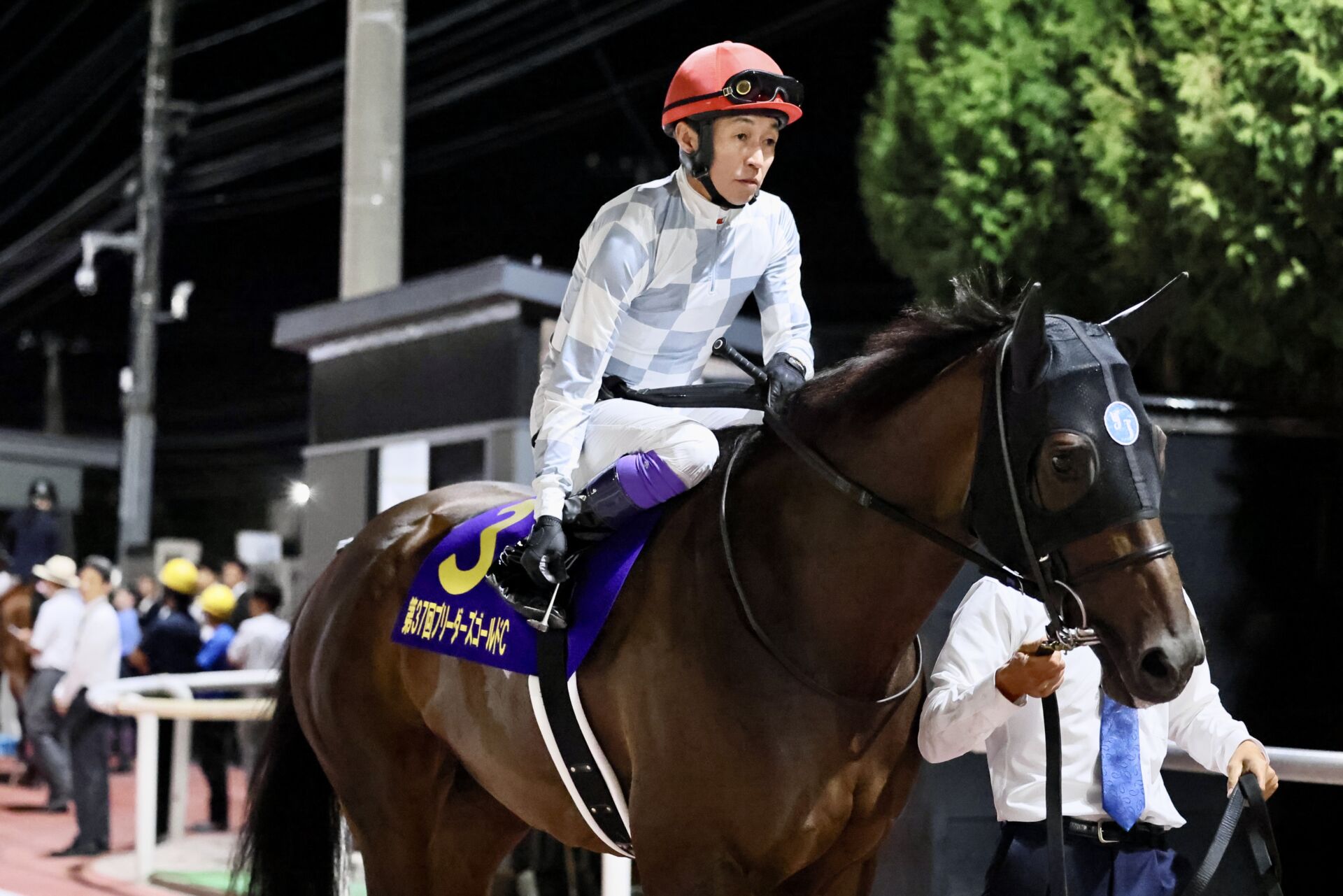 keibanaofficial's tweet card. 初心者に優しい競馬ニュースメディア、競馬のおはなし！結果速報や騎手、装蹄師のコラムを掲載。初心者向けの簡単な予想も。