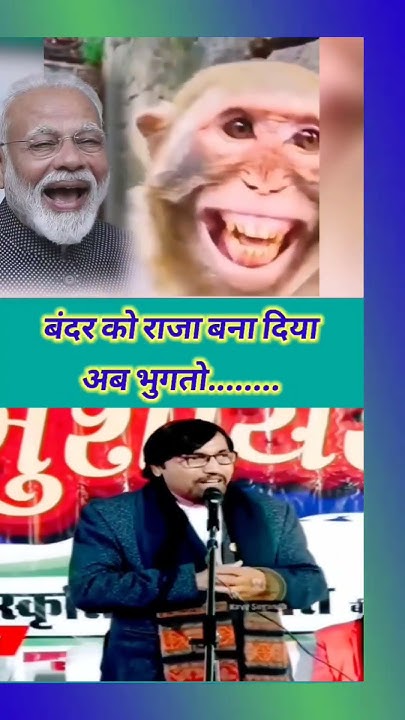 user_new17's tweet card. बंदर को राजा बना दिया | #शॉर्ट #politics #बीजेपी #कांग्रेस