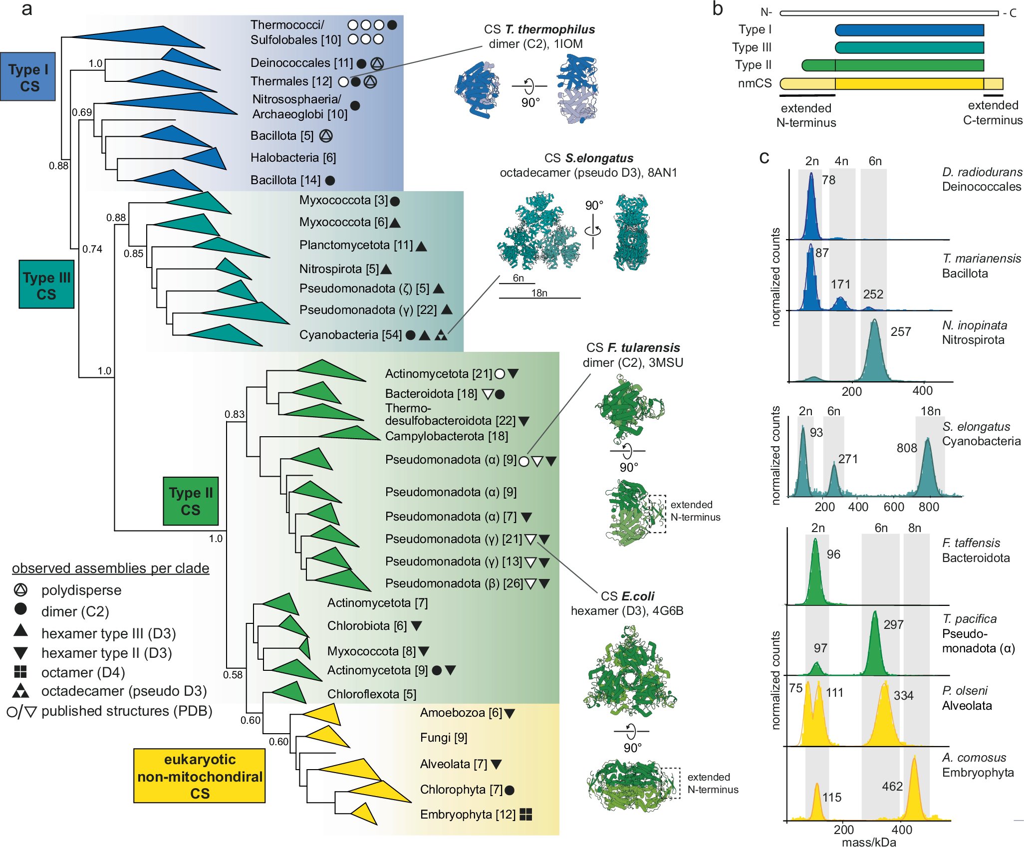 SendkerFL's tweet card. Nature Communications - Many enzymes form homo-oligomers, but it is often not clear why. This study follows the evolution self-assembly in citrate synthases across their phylogeny and finds it to...
