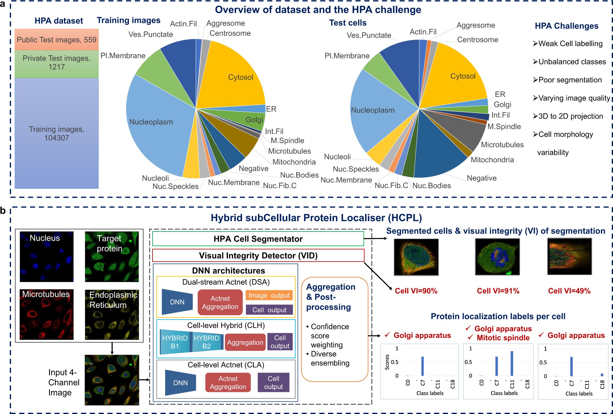mikb0b's tweet card. Communications Biology - The Hybrid subCellular Protein Localiser (HCPL) improves single-cell classification for protein localization, allowing for large-scale data annotation through deep-learning...
