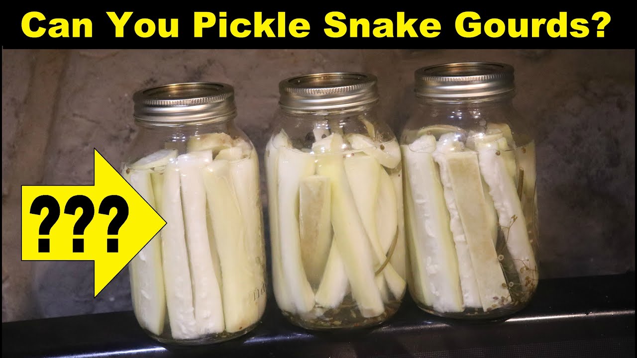 weetree1's tweet card. Can You PICKLE Snake Gourds?