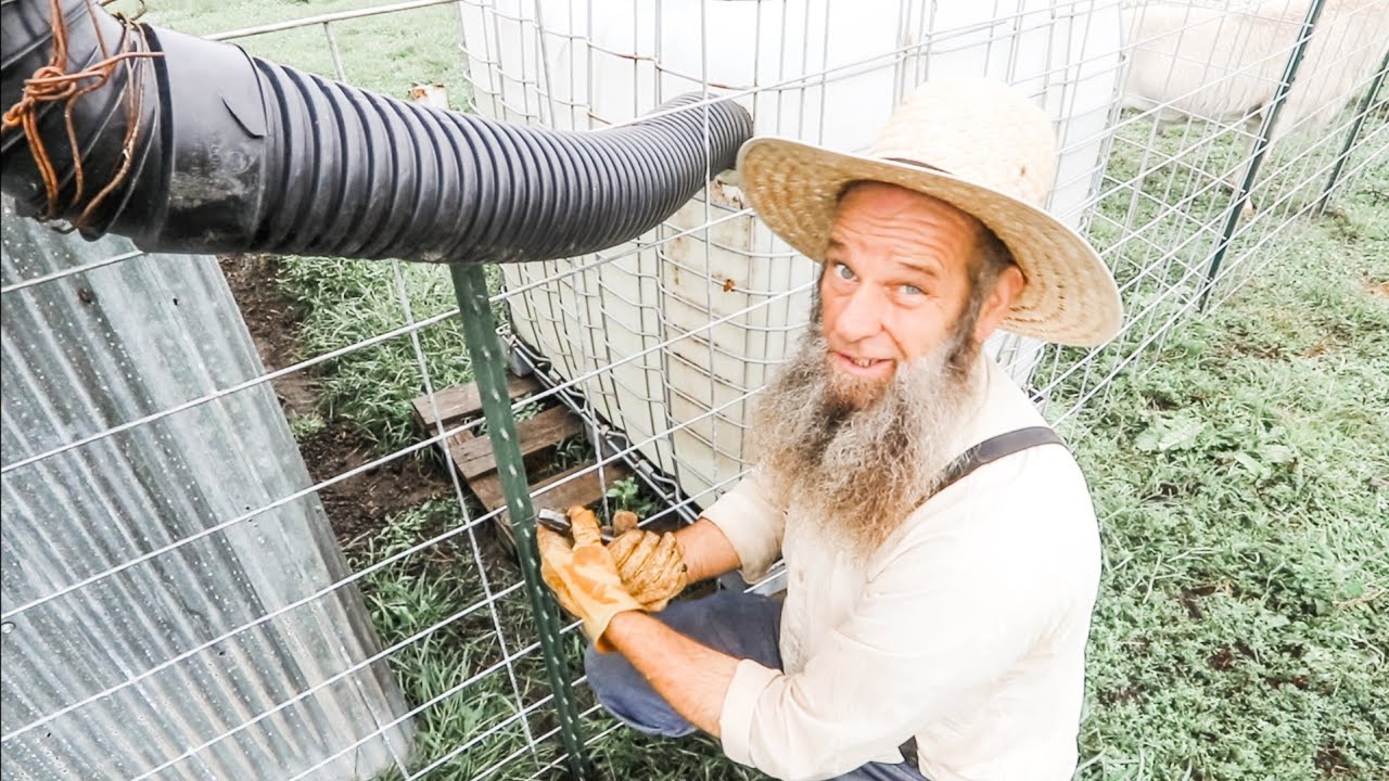 weetree1's tweet card. This was Tricky! Off Grid | Homesteading