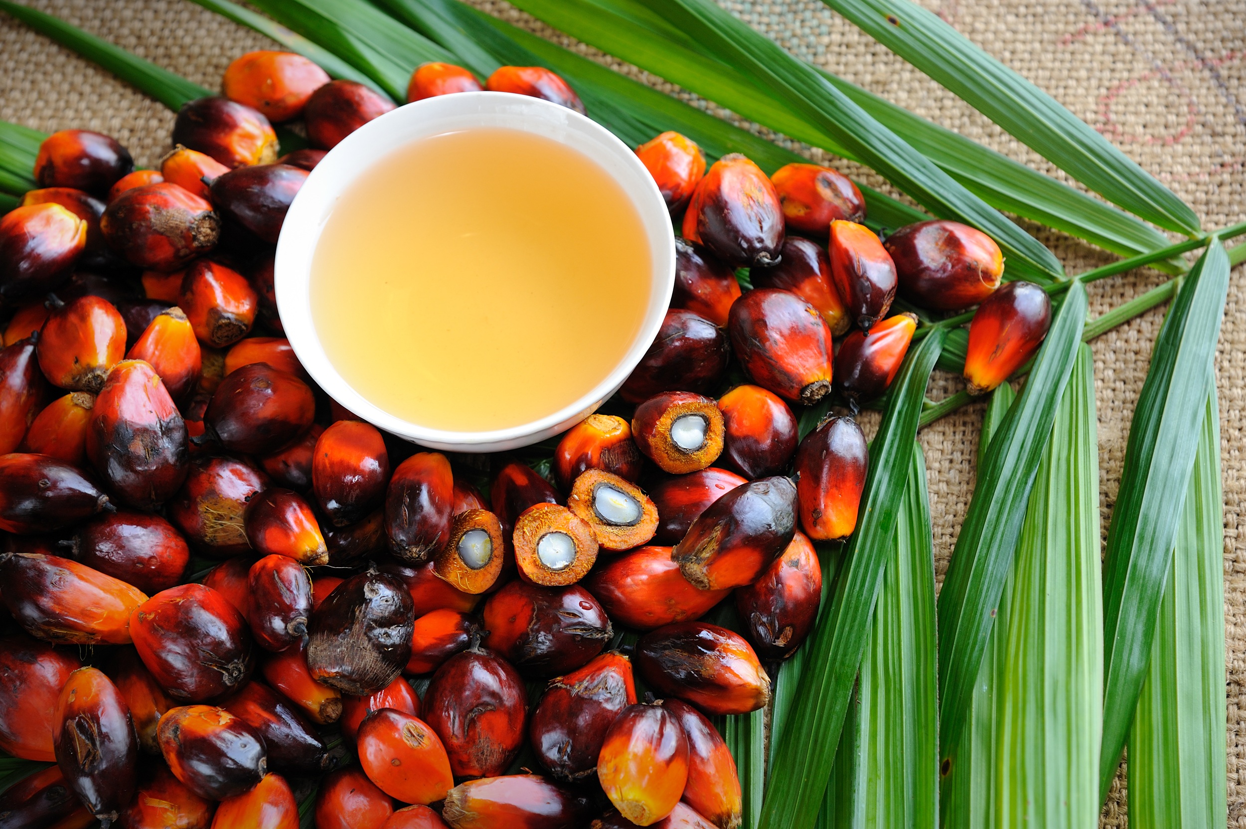 MartinStenzig's tweet card. Mexico-based healthy food producer Sesajal transforms vendor onboarding thanks to SAP Build and a human-centered innovation approach.