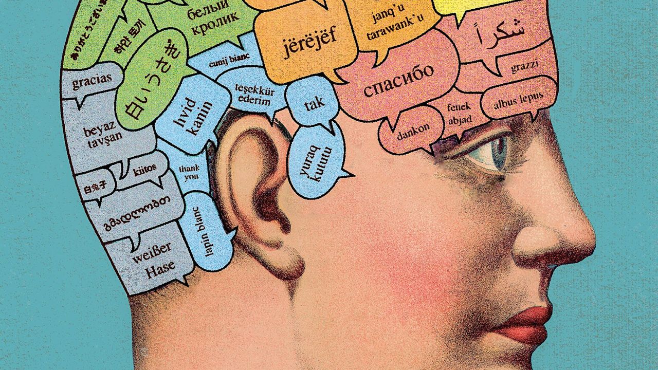 NewYorker's tweet card. What can hyperpolyglots teach the rest of us?