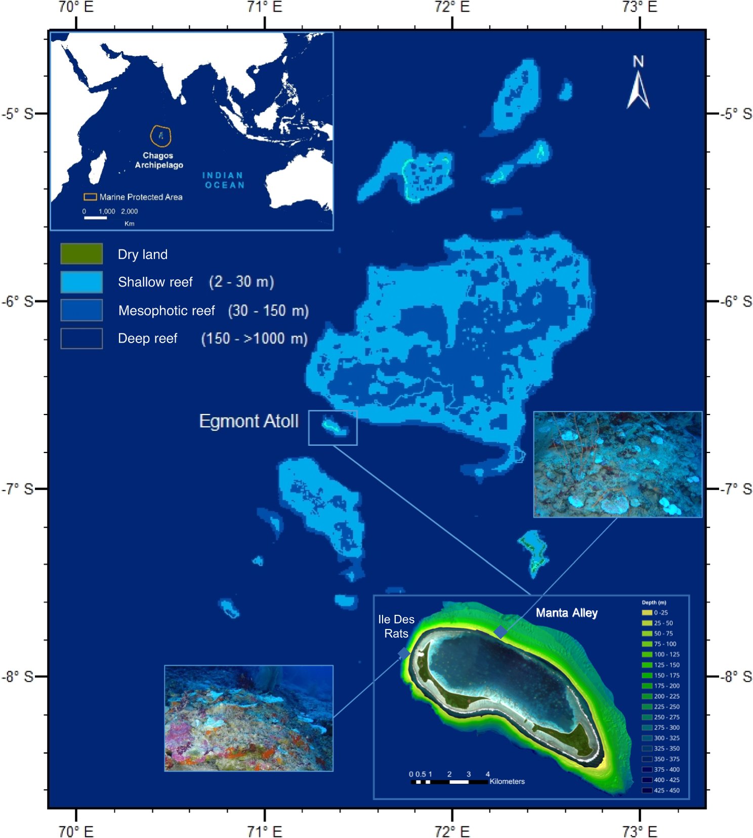 fonamental's tweet card. Nature Communications - Rising global temperatures cause widespread bleaching of shallow coral reefs but mesophotic reefs at depths over 30 metres are thought to be sheltered by cooler waters....