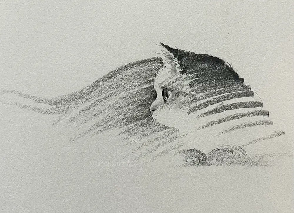 DesignSwan's tweet card. Discover ShouXin’s cat drawings, where expressive pencil strokes bring playful felines to life. Prints and originals are available online.