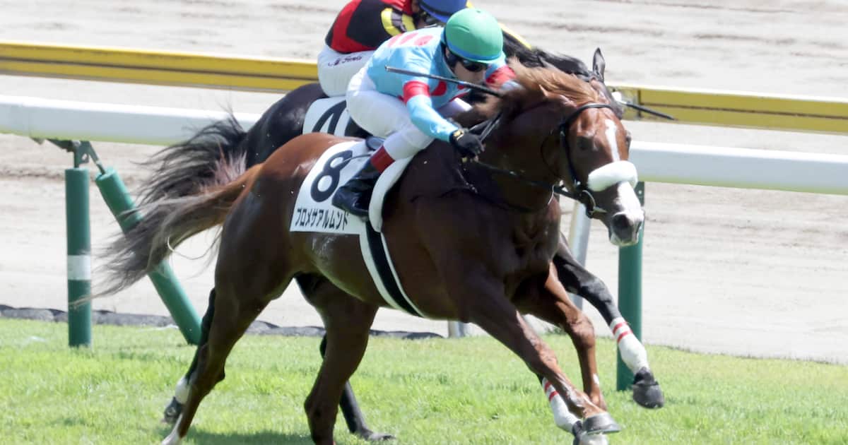 gallop_keiba's tweet card. GⅠ9勝馬アーモンドアイの2番子で、デビュー勝ちを飾りながらも右前肢橈側（とうそく）手根骨の骨折が判明したプロメサアルムンド（美・国枝、牡2）は7日に福島・ノ…