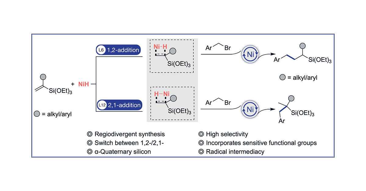 rr_lab's tweet card. Alkylsilanes (Csp3–Si(OR)3) possess significant potential for forging Csp3–C bonds via cross-coupling reactions. Nonetheless, there is a paucity of alkyl–Si(OR)3 synthesis. Hydrofunctionalization via...
