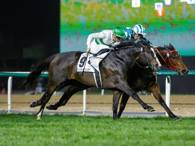netkeiba's tweet card. 　10月18日(土)に東京競馬場で行われる富士ステークス(3歳上・GII・芝1600m)。　現時点では、GI・2勝のソウルラッシュ、マイルGIで3勝を挙げているジャンタルマンタル、今年のNHKマイルC… No.1競馬情報サイト「netkeiba」の競馬ニュース。
